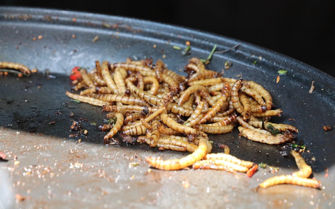 Heimlich immer mehr Insekten in Lebensmitteln: Wir fordern Kennzeichnungspflicht!