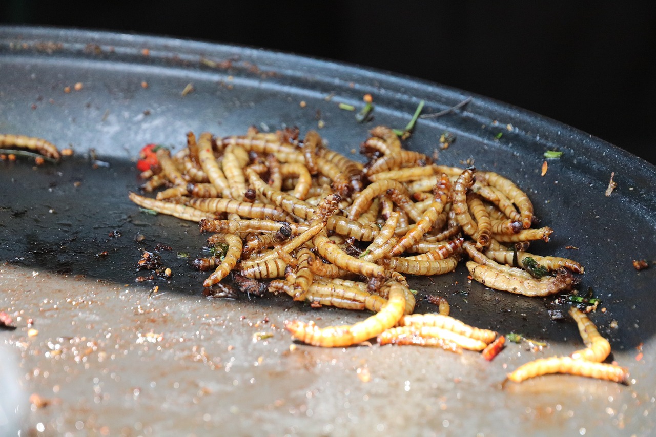 Heimlich immer mehr Insekten in Lebensmitteln: Wir fordern Kennzeichnungspflicht!