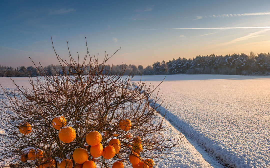 Schöne Winterferien