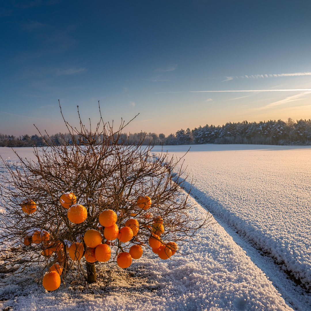 Schöne Winterferien